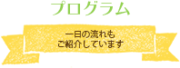 プログラムの内容 1日の流れ